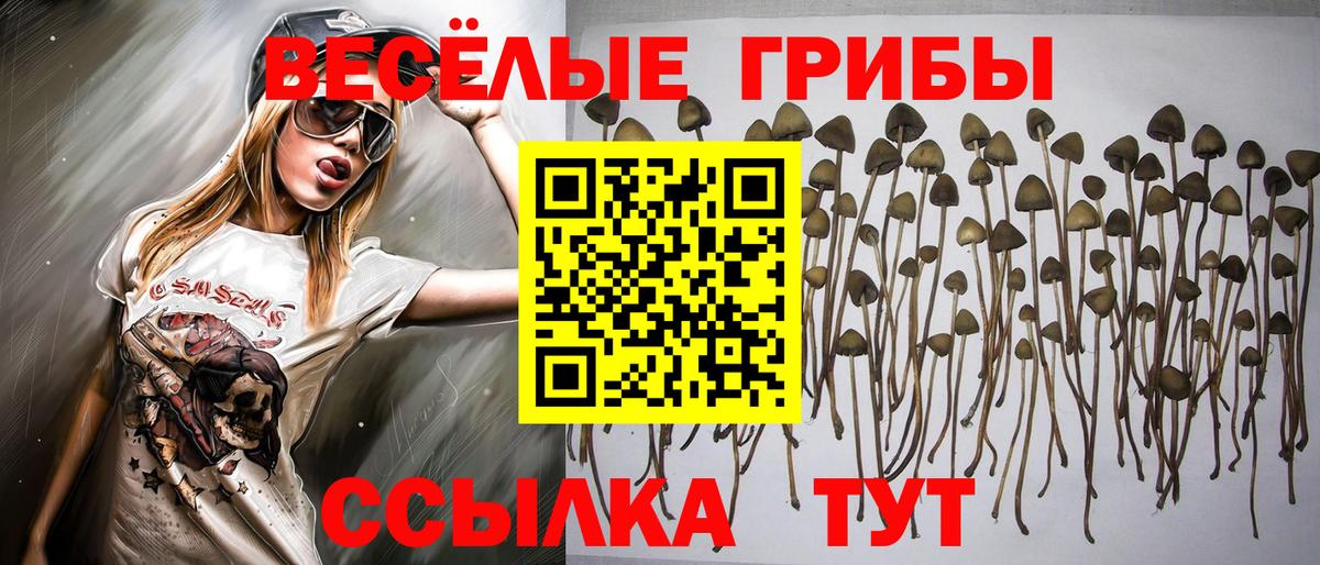 Псилоцибиновые грибы MAGIC MUSHROOMS Топки